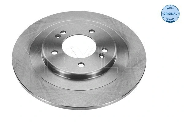 Brake Disc (37-15 523 0035)