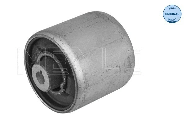 Mounting, control/trailing arm (100 610 0069)