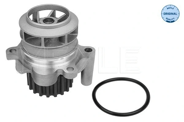 Water Pump, engine cooling (113 220 0021)