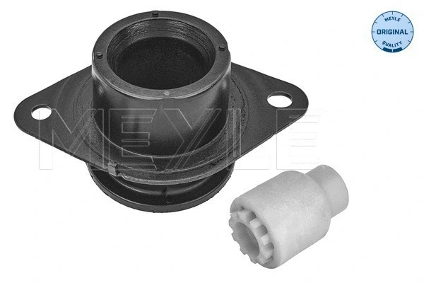 Mounting, engine