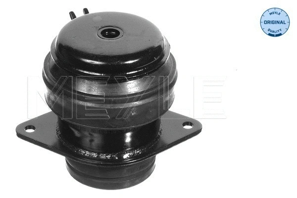 Mounting, engine (100 199 0073)