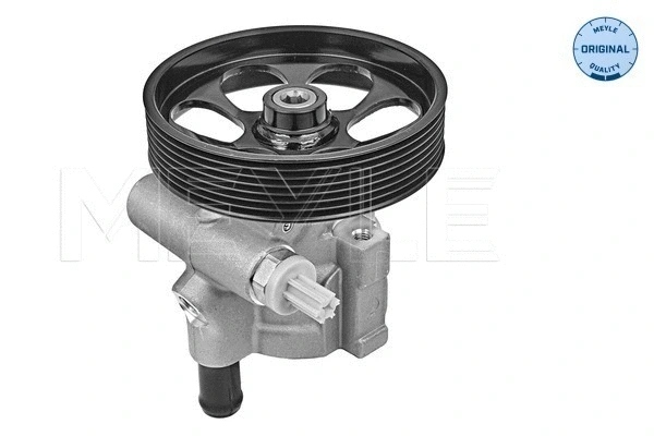 Hydraulic Pump, steering (16-16 631 0004)