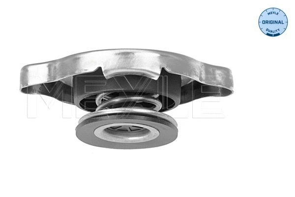 Cap, coolant tank