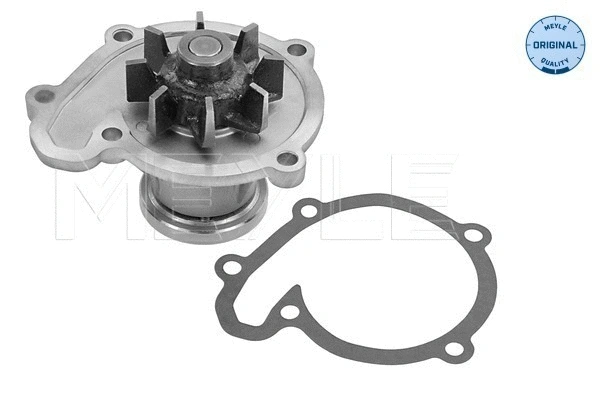Water Pump, engine cooling (36-13 220 0004)