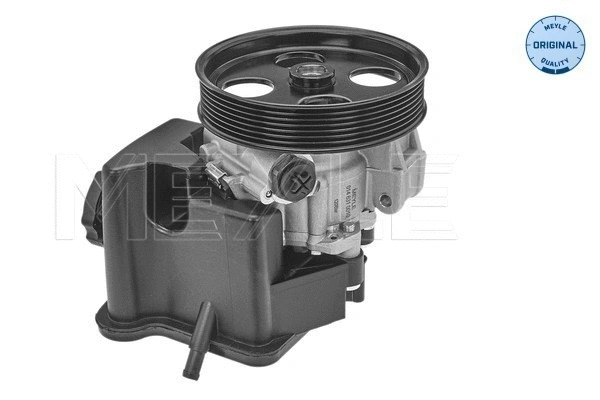 Hydraulic Pump, steering (014 631 0010)
