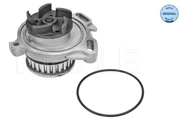 Water Pump, engine cooling (113 012 0012)
