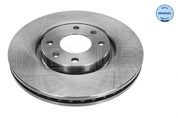 Brake Disc (11-15 521 0018)