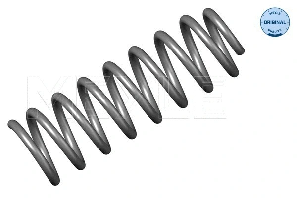 Suspension Spring (16-14 639 0000)
