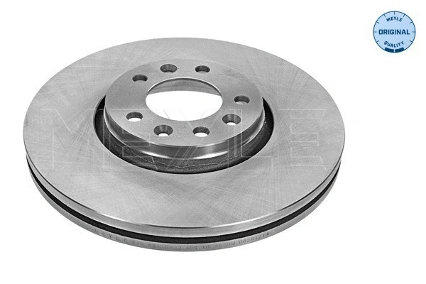 Brake Disc (215 521 0024)