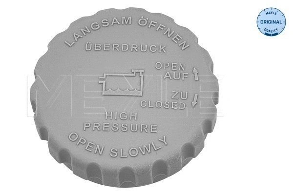 Cap, coolant tank (614 800 9001)