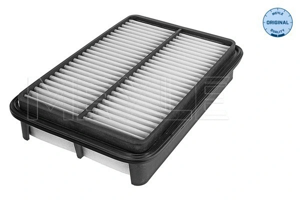Air Filter (30-12 321 0016)