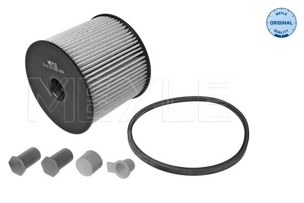 Fuel Filter (11-16 323 0000)