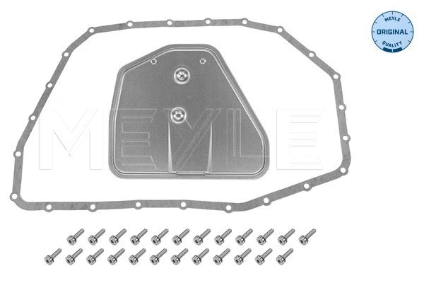 Hydraulic Filter Kit, automatic transmission (100 137 0111)