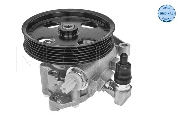 Hydraulic Pump, steering (014 631 0025)