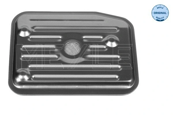 Hydraulic Filter, automatic transmission (100 325 0001)