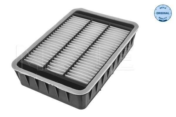 Air Filter (32-12 321 0002)