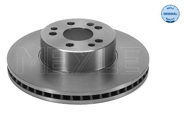 Brake Disc (015 521 2021)