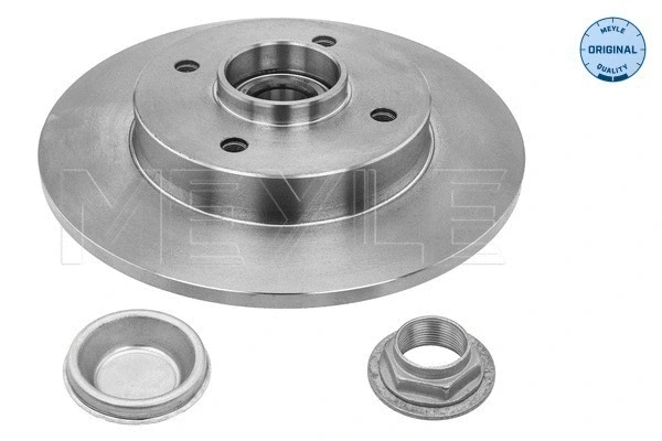 Brake Disc (11-15 523 4102)