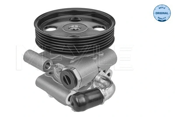 Hydraulic Pump, steering (514 631 0024)