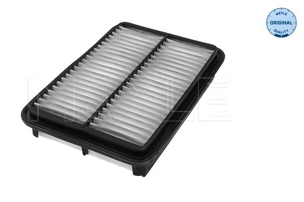 Air Filter (37-12 321 0011)