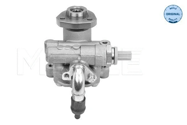 Hydraulic Pump, steering (514 631 0023)