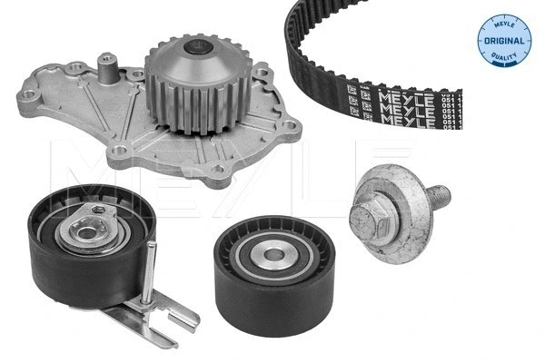 Water Pump & Timing Belt Kit (40-51 049 9008)