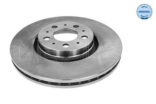 Brake Disc (515 521 5024)