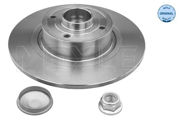 Brake Disc (16-15 523 4115)