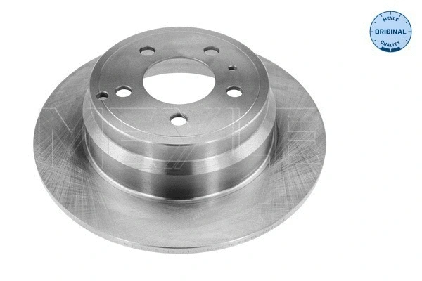 Brake Disc (515 523 0013)