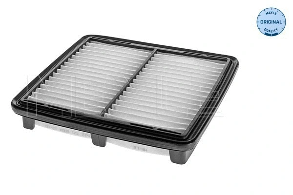 Air Filter (29-12 321 0004)