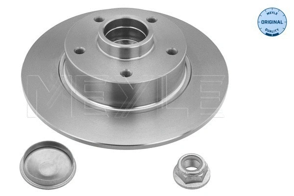 Brake Disc (16-15 523 4103)