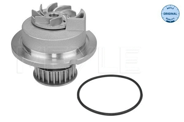Water Pump, engine cooling (613 600 4135)