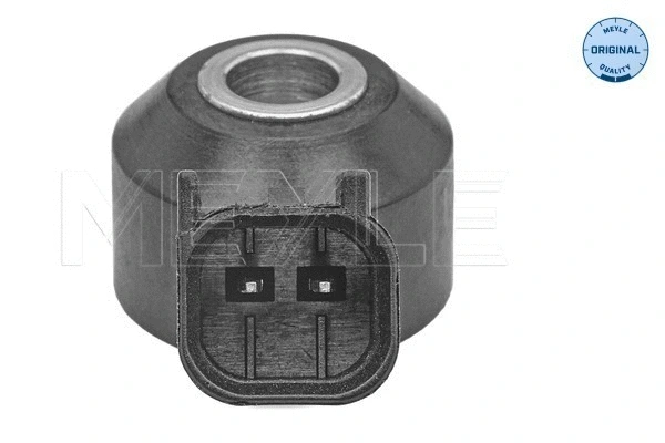 Knock Sensor