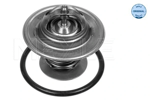 Thermostat, coolant (028 292 0000)