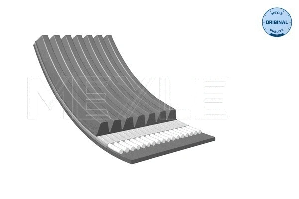 V-Ribbed Belt (050 007 2000)