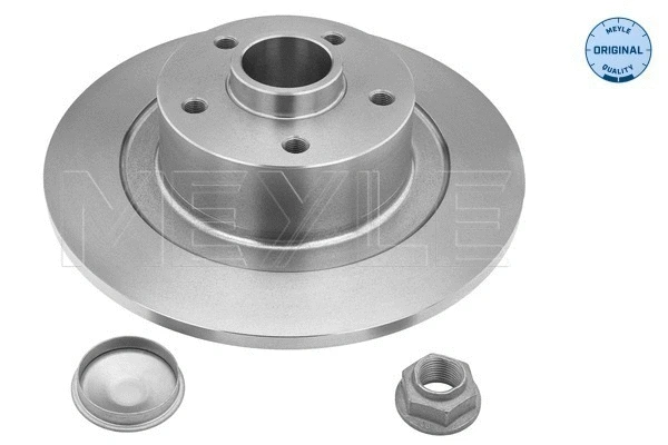 Brake Disc (16-15 523 4107)