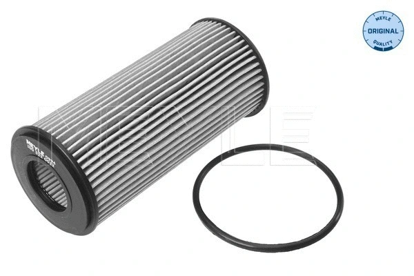 Oil Filter (100 322 0022)