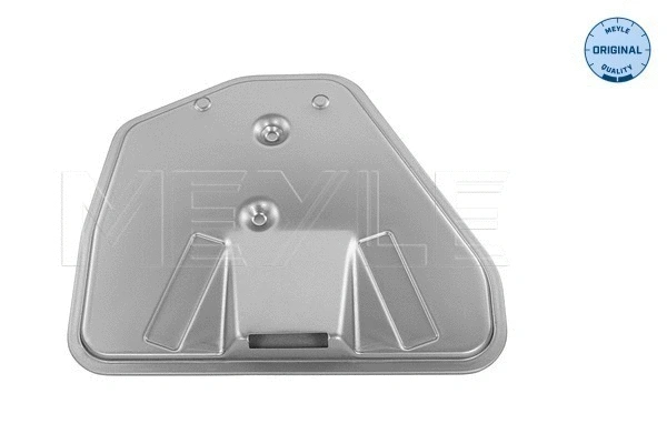 Hydraulic Filter, automatic transmission (100 136 0009)