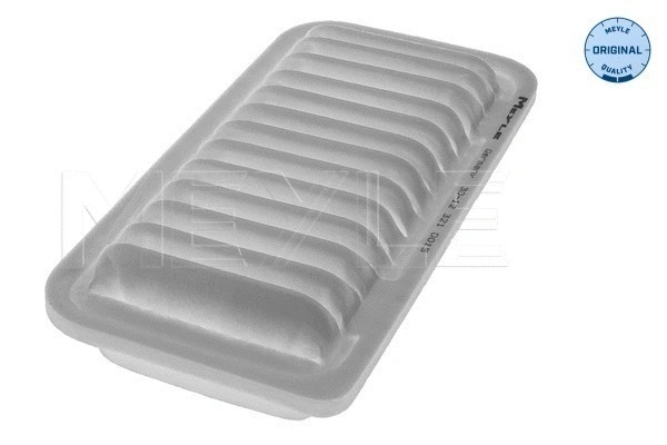 Air Filter (30-12 321 0015)