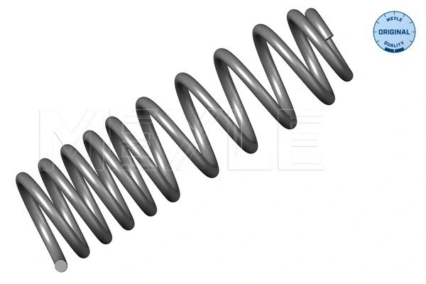 Suspension Spring (100 739 0022)