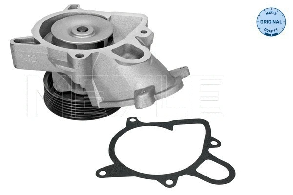 Water Pump, engine cooling (313 220 0006)