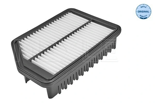 Air Filter (37-12 321 0035)