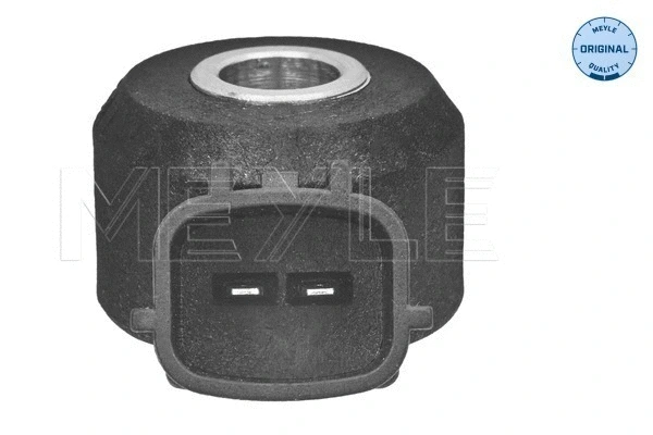 Knock Sensor