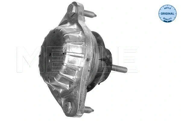 Mounting, engine (100 199 0046)