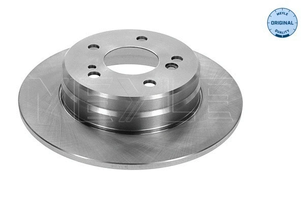 Brake Disc (015 523 0021)