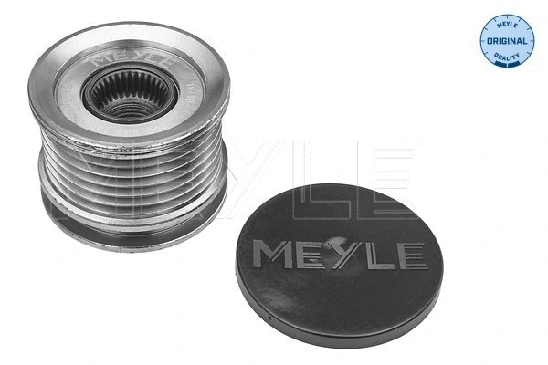 Alternator Freewheel Clutch (100 053 1006)