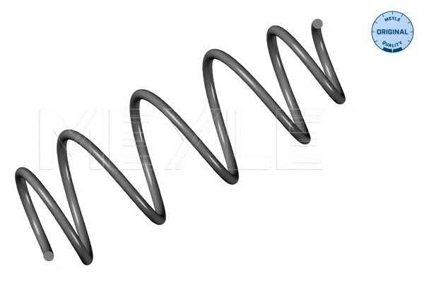 Suspension Spring (214 639 0001)