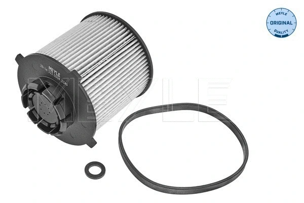 Fuel Filter (29-14 323 0004)
