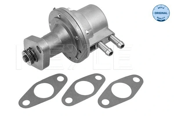 Fuel Pump (014 009 0024)