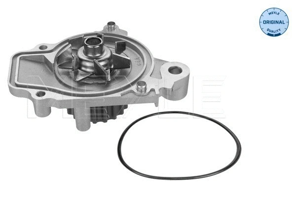 Water Pump, engine cooling (31-13 192 0001)